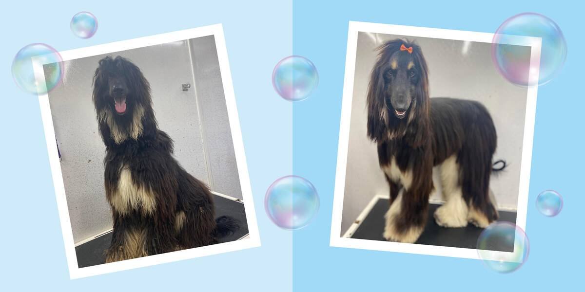 Before and after a groom